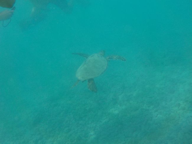 離れていっちゃった〜