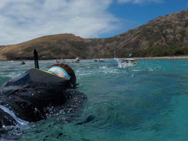 これはCちゃん〜