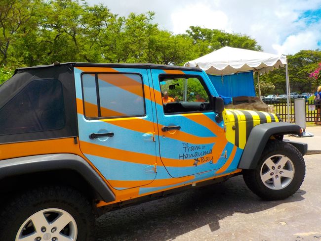 この車の色合いは魚の色なんです。