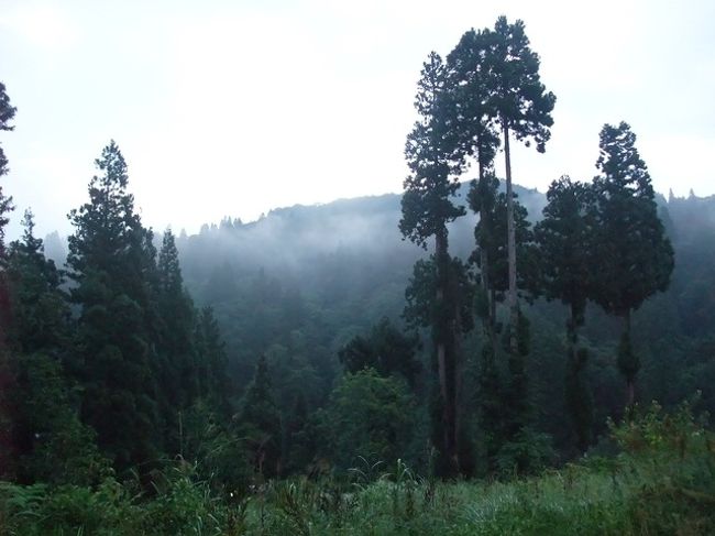 旅行四日目の朝。<br />昨日の晩降っていた雨は上がっていました。