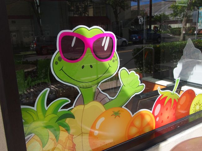 お隣のお店の亀ちゃん