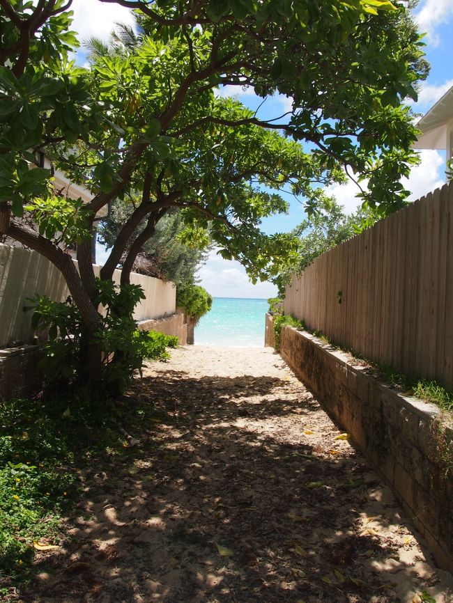 今度は海に入れる格好でこようっと！