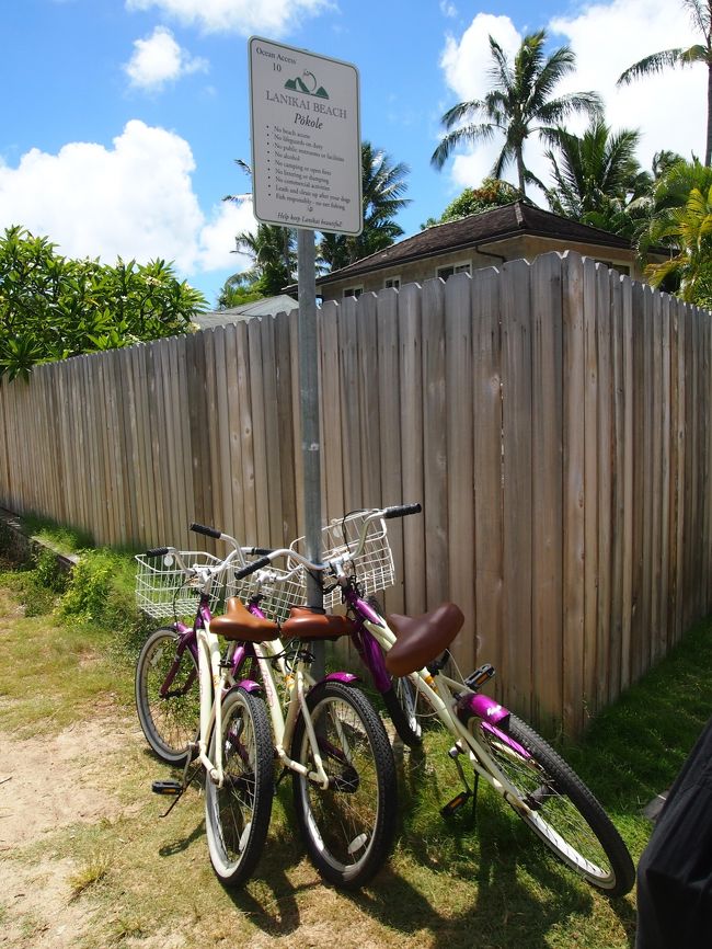3人がレンタルした自転車<br /><br />小道があと一個あったのにここで戻ることにしてしまった私たち。<br />勉強不足でした(>.<)