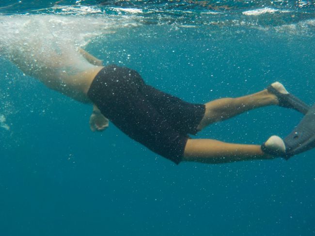 これは鍛えられたスタッフの泳ぎ<br /><br />なかなか良いです（笑）