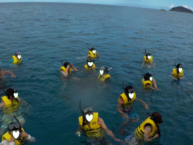 こんな感じで海の中