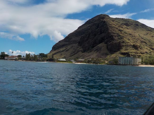 お次は亀のポイントへ