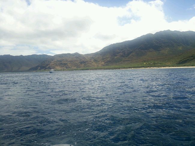 シュノーケルセットは戻して、今度は船の上からイルカウオッチ。