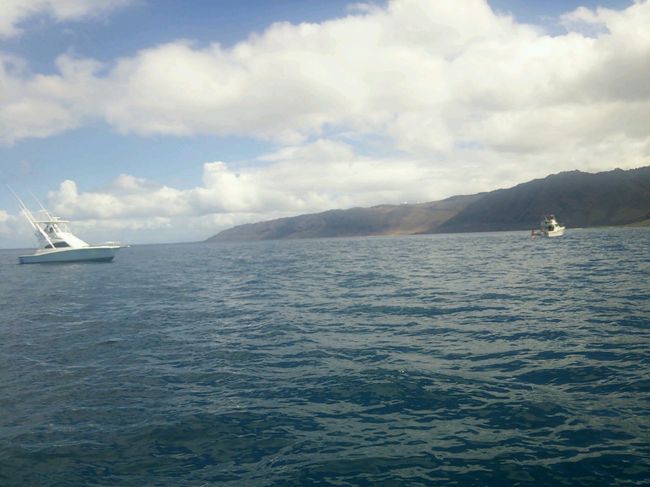 他のボートもやってきた〜