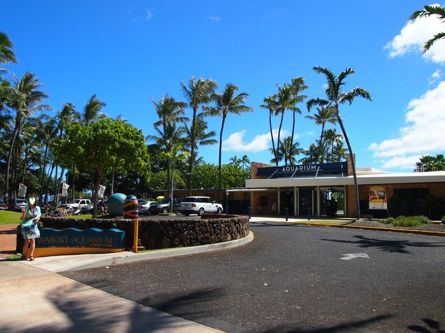 お部屋で昼食を取ったあと、Yちゃんが行ったことがないのでホノルル水族館まで行くことにしました。