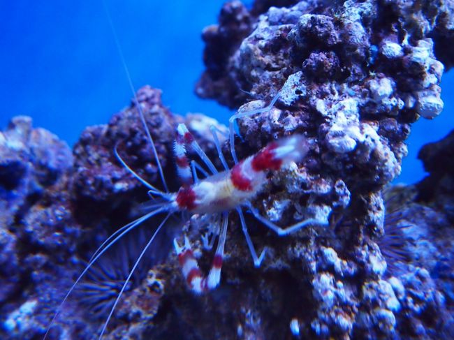 半年前にも来ているのでサラ〜っと見て・・・