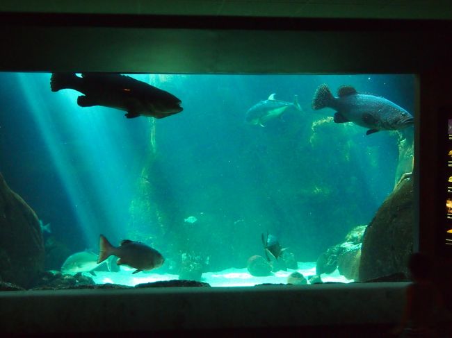 こちらで暫し休憩。