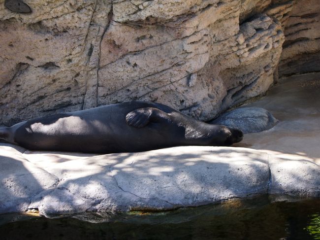 自分をみているようで・・・(>_<)