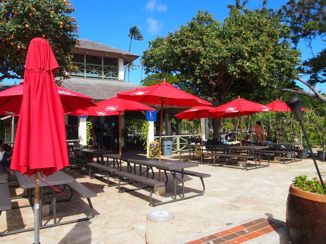 モヤさまで出ていましたよね、やる気がなさそうな店員がいるお店。