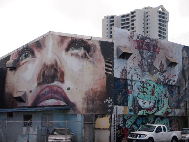 こちらもよく見かけますね。