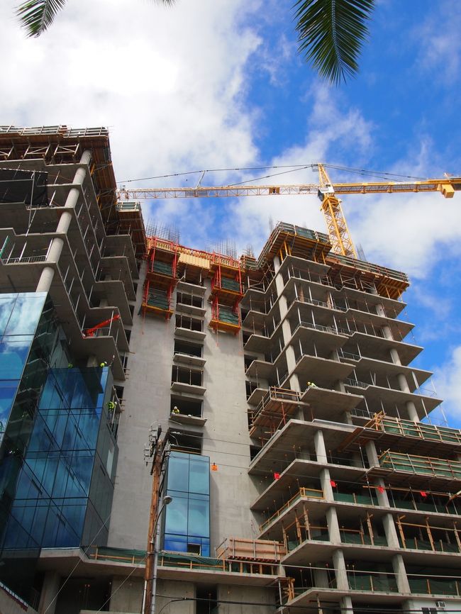 ホノルルの建設業、忙しそうね！<br />東京＆近県も忙しくなってます(同業者)