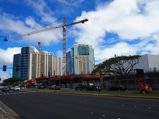 次回来るときは、どうなっているのでしょうね？