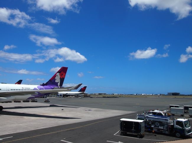 1月に乗ったハワイアン〜
