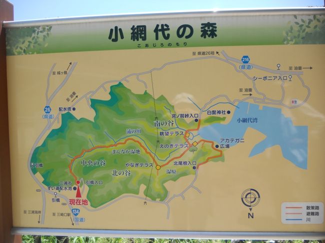 ちょっとぷらっと 小網代の森（三浦半島）』三浦海岸・三崎
