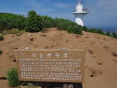 島の西端にある赤岩灯台。周辺はウトウの繁殖地で、巣穴がところどころにあります。この場所は夕方の「ウトウツアー」で再び訪れることになります。