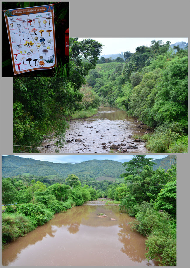 ここまで来ると川の水量は増えてきましたが、素朴な疑問が湧きました。