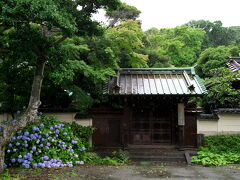 英勝寺に到着です！
報国寺よろしく竹林がキレイなお寺なんです。

京都でコケを堪能して、今度は竹に癒やされます（笑）
