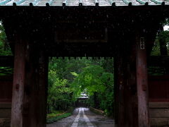 寿福寺。

名前からしてご利益がありそうだけど、今日はお願いごとが目的じゃなくこの一本道です。

どうでしょうか。
美しくないですか!!