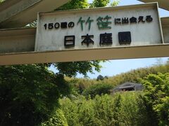 タケノコ狩りは残念ながらできなかったけど、近くの竹林公園に入ってみよう。