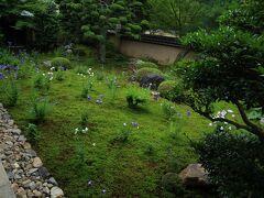 12：30　東福寺　天得院（とうふくじ　てんとくいん）

杉苔に覆われた枯山水庭園に咲く桔梗が見頃。


初夏の特別拝観
2015年6月25日〜7月10日
拝観料/500円
抹茶/800円（菓子付き）
駐車場/東福寺P無料