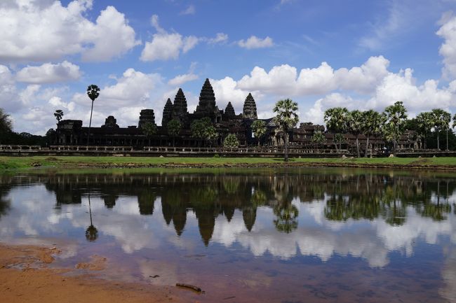 ホテルでしばし休憩した後、アンコール・ワットへ。<br />ベテランガイドさんによると、アンコール・ワットは午後の方が奇麗との事。<br />確かに順光になって、奇麗でした。