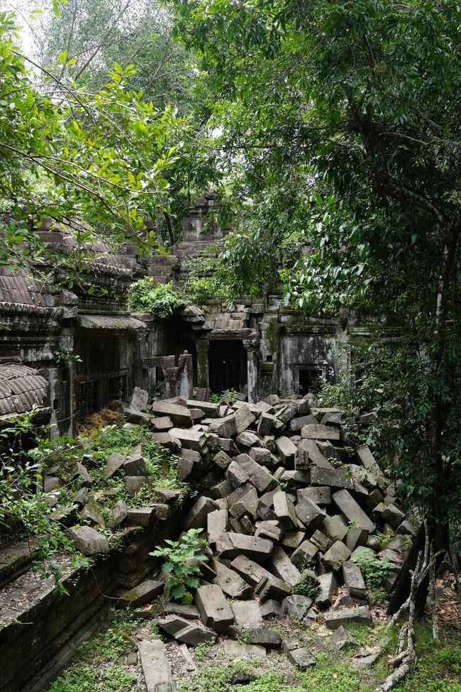最後は、天空の城ラピュタのモデルの一つとも言われているベンメリアへ。<br />崩れたままの遺跡は、逆に迫力がありました。<br />途中、ガイドさんが柵を超え、「こっちからおりますよー」と言い出し、良いの？？と驚きました。<br />後で、行った事がある人に聞いたら、そういうものだそうです。<br />崩れた遺跡の中をずんずん進んで行くツアーは、探険のよう。<br />ここが一番楽しかったです。