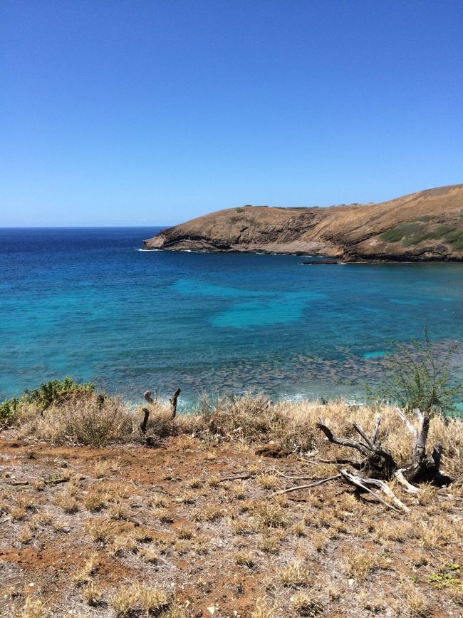 ハナウマ湾でシュノーケルをしてきました。実はカナヅチだったのですが、去年から区民プールの水泳教室で、少しだけ泳げるようになりました^^;<br />海の透明度が高く、いろいろな魚を見ることができて子供たちも大興奮でした。<br />ただハナウマ湾に入場するには受付をしてビデオを見なければならないのですが、すごく待ちます。<br />日差しも強いので、帽子があればいいですよ。私達はタオルを頭にかけていました^^;<br />着替えはトイレでするのですが、シャワーはトイレの壁、外にあります。<br />最初はわからず、どうするの？と思いました。