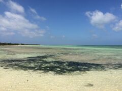 西桟橋です♪

潮が引き始めていますね♪