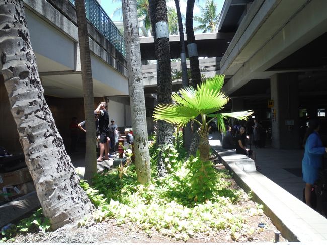 芸能人がお正月にインタビューされてますねー