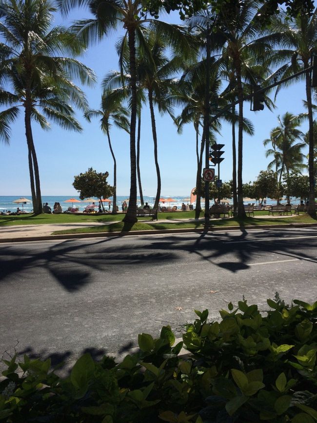 ほぼ毎日子供たちとビーチ遊びです。<br />泳げるっていいですね。おかげで肩凝りも軽減します。