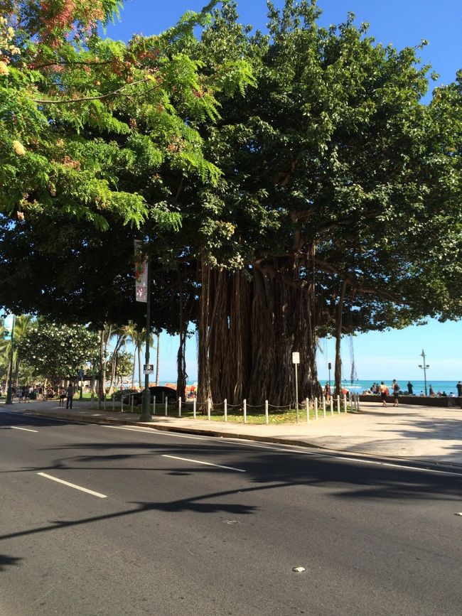 今更ですがビーチの写真です^^;<br />