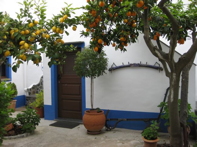 宿に戻って休憩。中庭に面しているドアが泊まった部屋。<br /><br />レモンとオレンジが鈴なり。オレンジを一つ食べてみたら美味しかった。