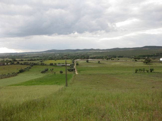 来た道を戻るのはちょっと遠い。最短距離で戻ろう。<br />途中までは道がついているがその先は草原。草をかき分け下りてきた坂道まで戻った。<br /><br />向こうの道から手前の草原を突っ切って戻ってきた。