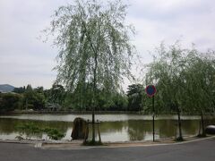 商店街を南下して「猿沢の池」に来ました。

今夜お泊りの「奈良ホテル」は右前方ということを確認してから、