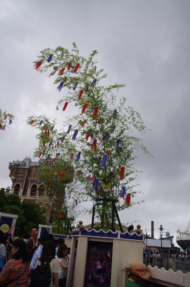 キャラクターたちの短冊も飾られていました(^^)<br />東京に行く前の週間天気予報だと雨だったのですが雨も降らず過ごしやすい天気で良かったです♪<br /><br />こども用のカッパや雨靴、ベビーカーのカバーも持っていったのですが一度も使わず！