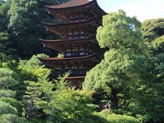 香山公園に入るとすぐに国宝の瑠璃光寺五重塔が見えてきます。
瑠璃光寺五重塔は、京都の醍醐寺・奈良の法隆寺 の五重塔とならび日本三名塔の一つに数えられています。