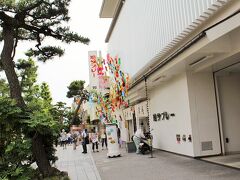 笹の葉サ〜ラサラ♪
鎌倉一有名なお土産といえば、鳩サブレ！！！