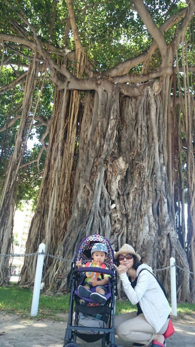 最終日<br />バニアンツリーの前で。<br />すごいエネルギーを感じる木ですよね♪