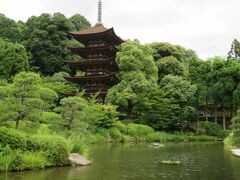 りっぱな五重塔
前の池とぴったり。とても素敵な景色です
日本三名塔の一つ