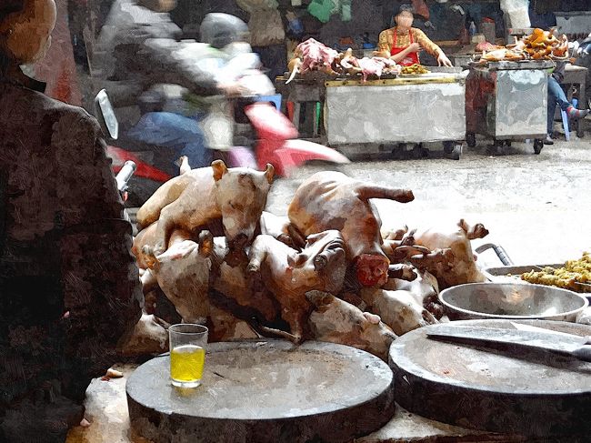 フゥンフン通りを北に歩いていったところに、犬肉を売る店が並んでいました。<br /><br />犬そのまんまの形で店先に積まれている姿を目にすると、さすがに腰が引けてしまいます。
