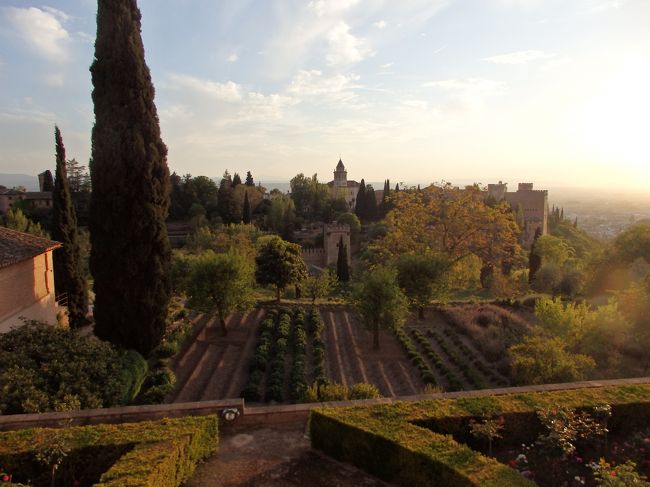夕食後アルハンブラナイトツアー<br />