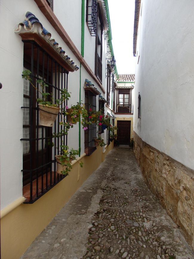 旧市街は路地だらけ