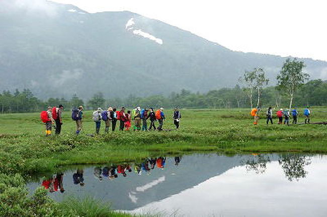 アヤメ平 尾瀬ヶ原 至仏山 梅雨空山行 武尊 尾瀬 片品 群馬県 の旅行記 ブログ By Kyokosa Nさん フォートラベル