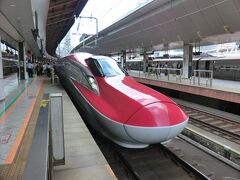 E6系です。
在来線区間も走行する秋田新幹線用車両として設計され2013年3月にデビューしました。
東京〜盛岡間はE5系と併結運転をします。