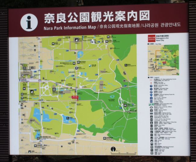  春日大社の参拝を終え参道を歩きました。<br /><br />現在は地図の真ん中あたりの赤い現在地です。<br />梅林が見えるのでそちらに行って見ましょう。<br /><br />　現在１２時３０分です。