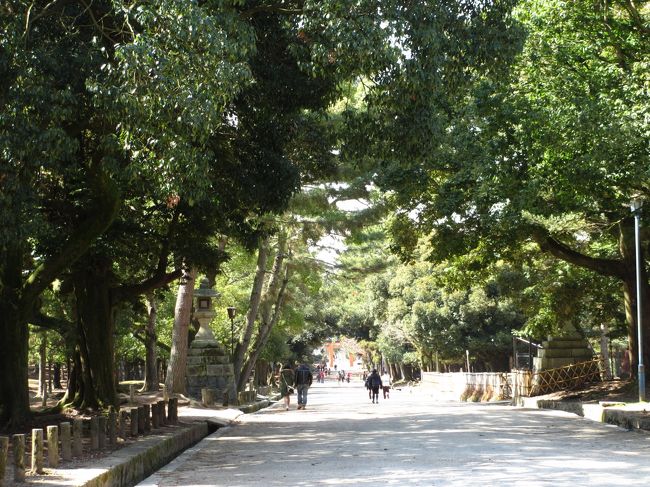 　まだ参道は続いていいて、奥に一之鳥居が見えます。<br /><br />私は梅林の方に行きましょう。